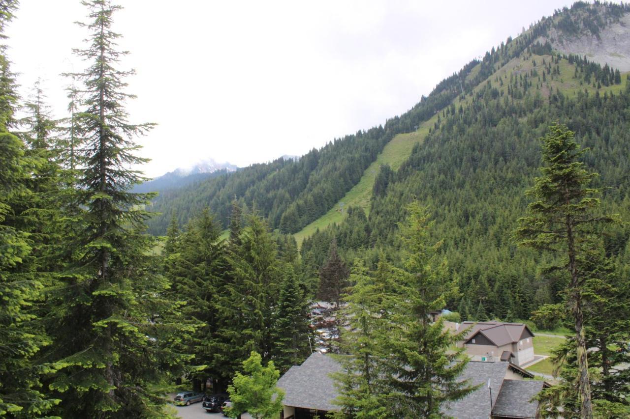 Crystal Chalets Greenwater Esterno foto