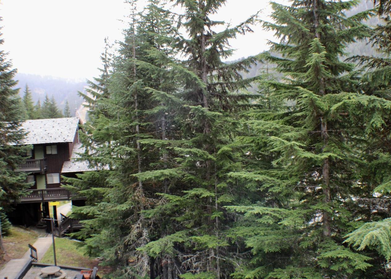 Crystal Chalets Greenwater Esterno foto